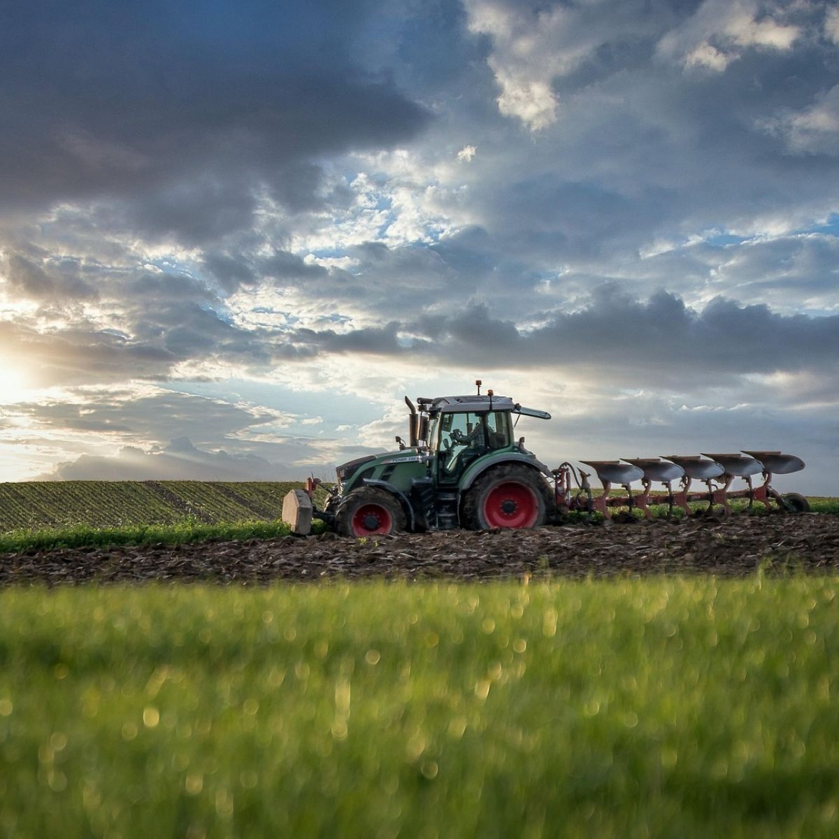 Audit agricole