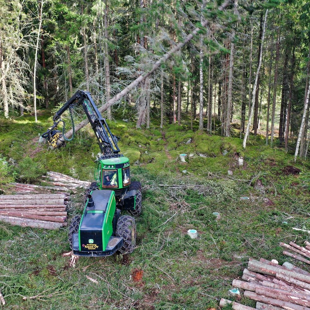 Gestion forestière