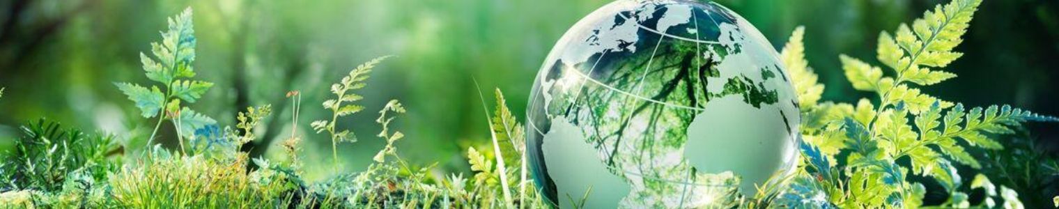 Valorisation d'un actif environnemental audité territorial