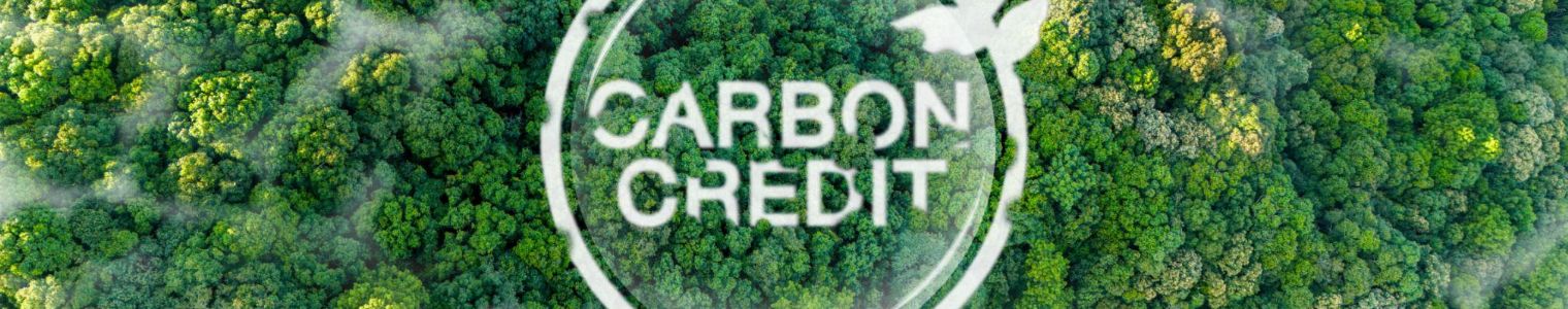 Mise en relation offre et demande carbone