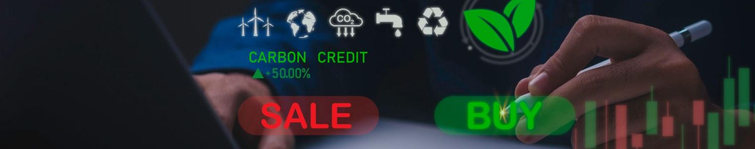 Projet environnemental et financement carbone