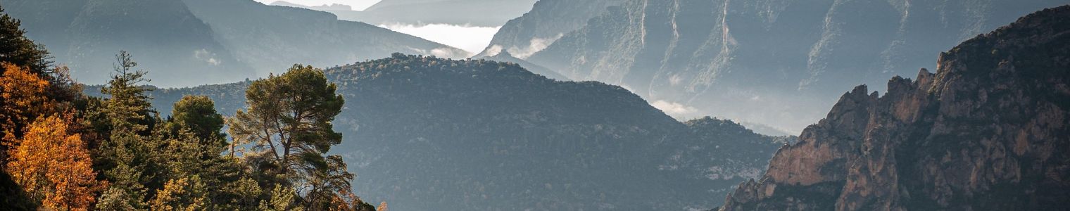 Analyse carbone et données environnementales