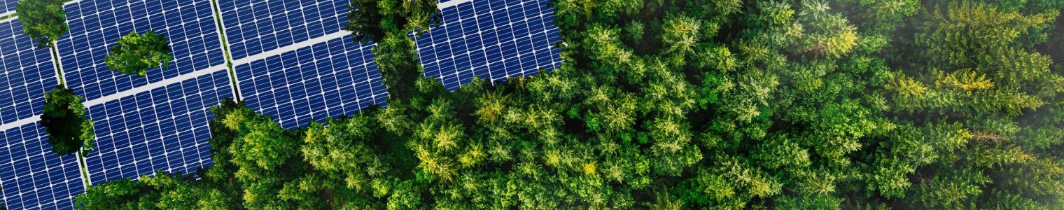 Mesure carbone et trajectoire environnementale