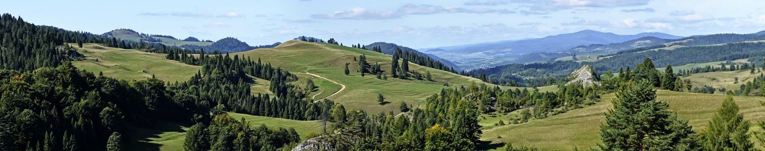 Données environnementales et valorisation carbone