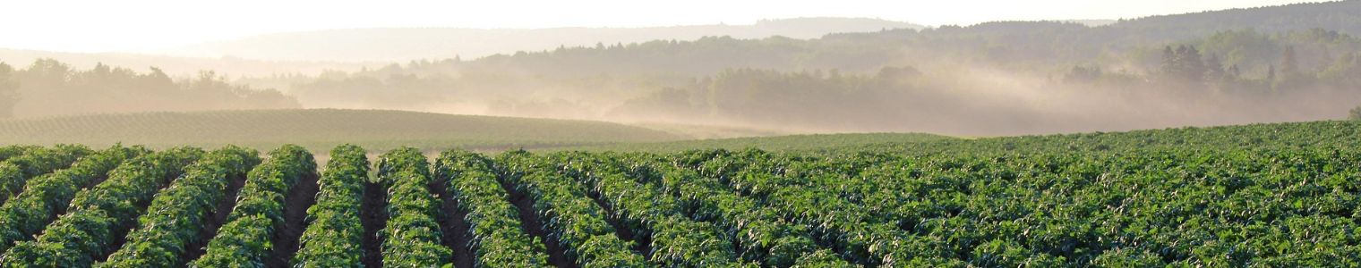 Analyse carbone et données environnementales