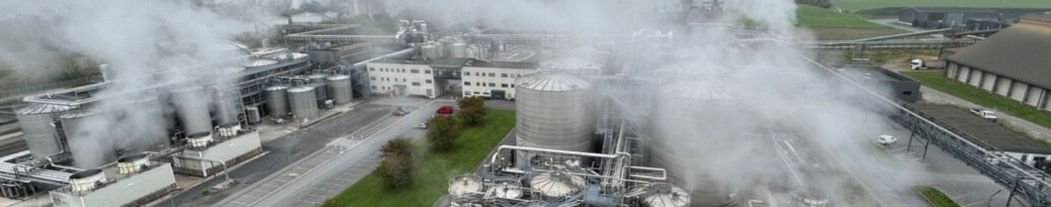 Énergie décentralisée et usages professionnels